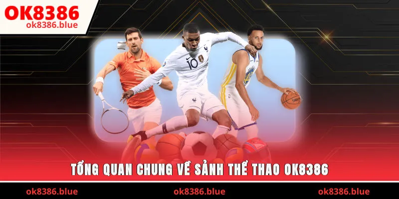 Tổng quan chung về sảnh thể thao OK8386